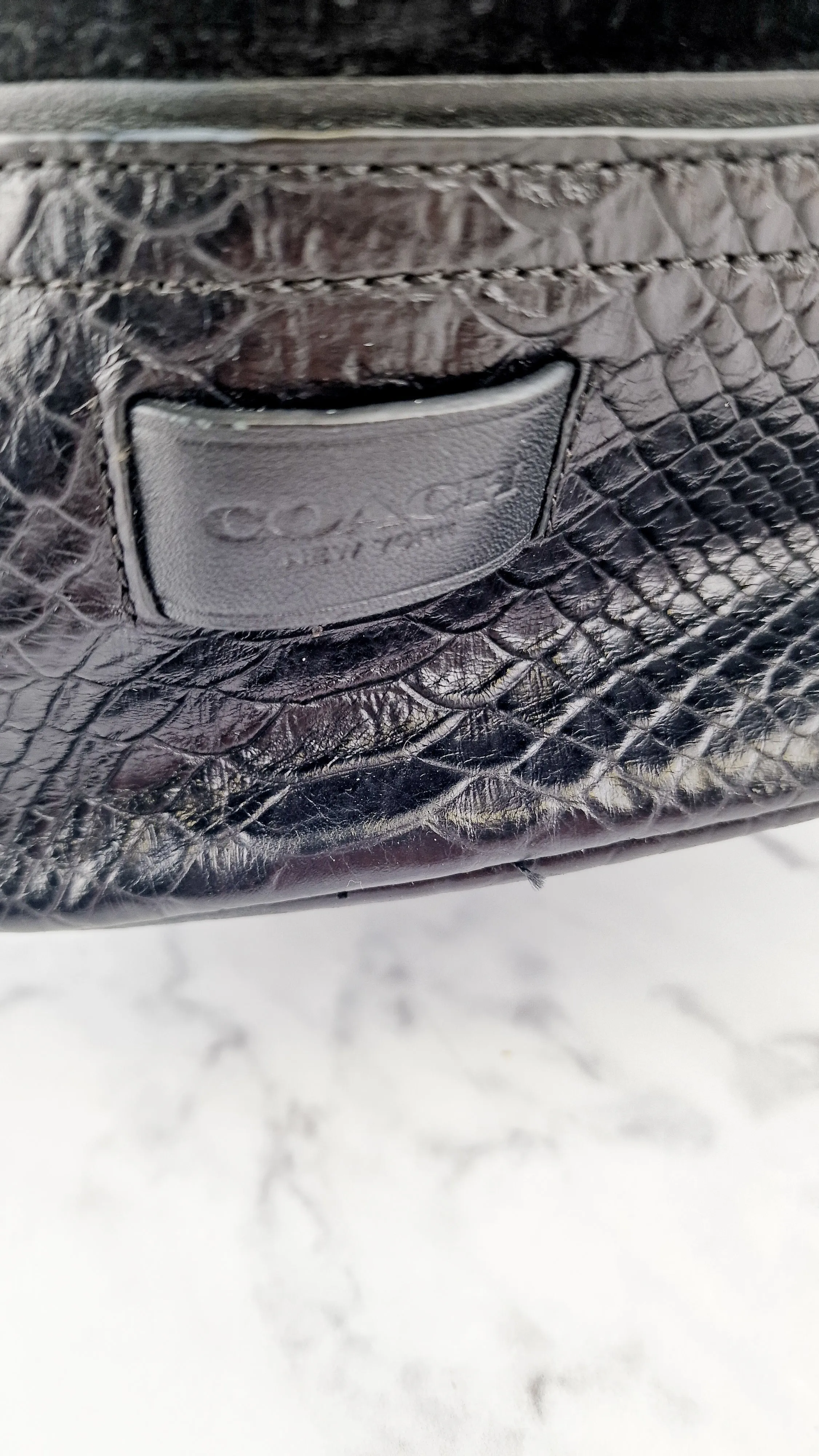 Coach Hadley XL Tote in Black Python Embossed Leather & Suede - Coach F30963